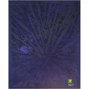 Motus violet
Dim. : 45 x 55 cm
Mat. : acrylique, pigments, sable savonné